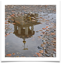 Reflection of weathervane - Richard Nicholls